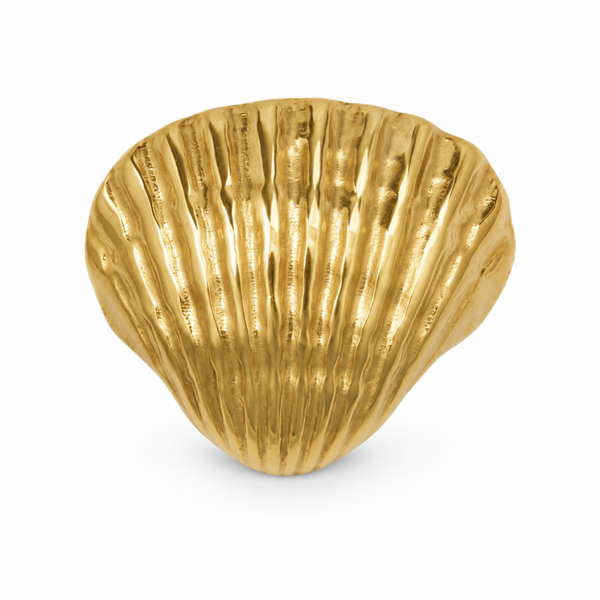 VTL Button cover schelp