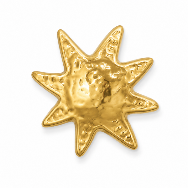 VTL Button cover zon