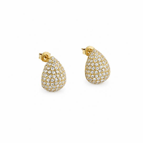 **HL VTL oorbellen Oyani goldplated