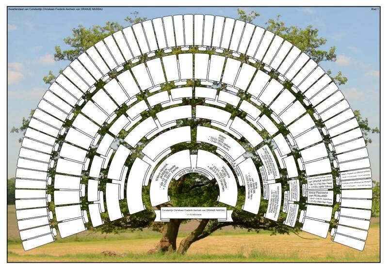 boom nr. 5 (7 generaties)