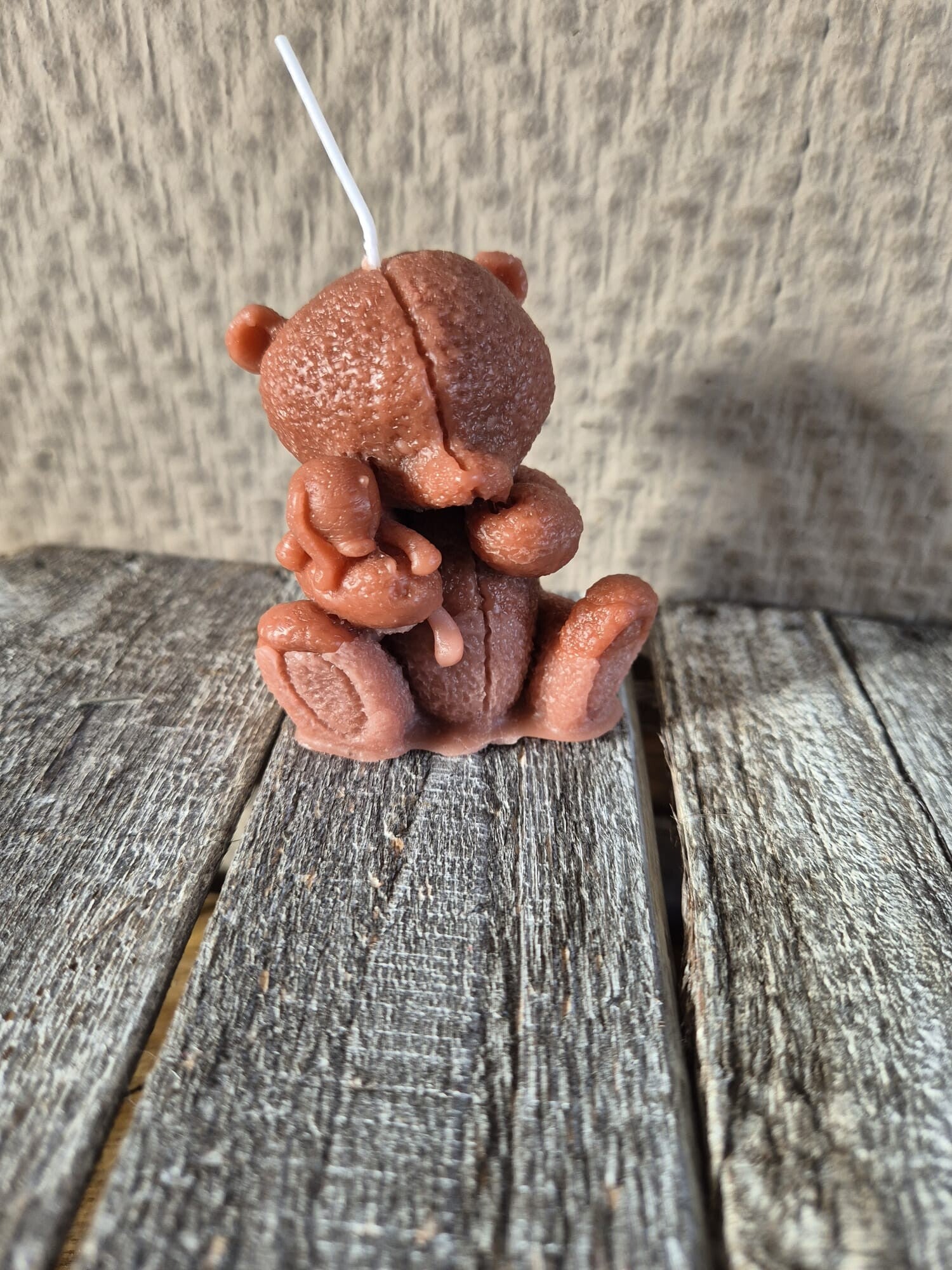 Beer met knuffeltje