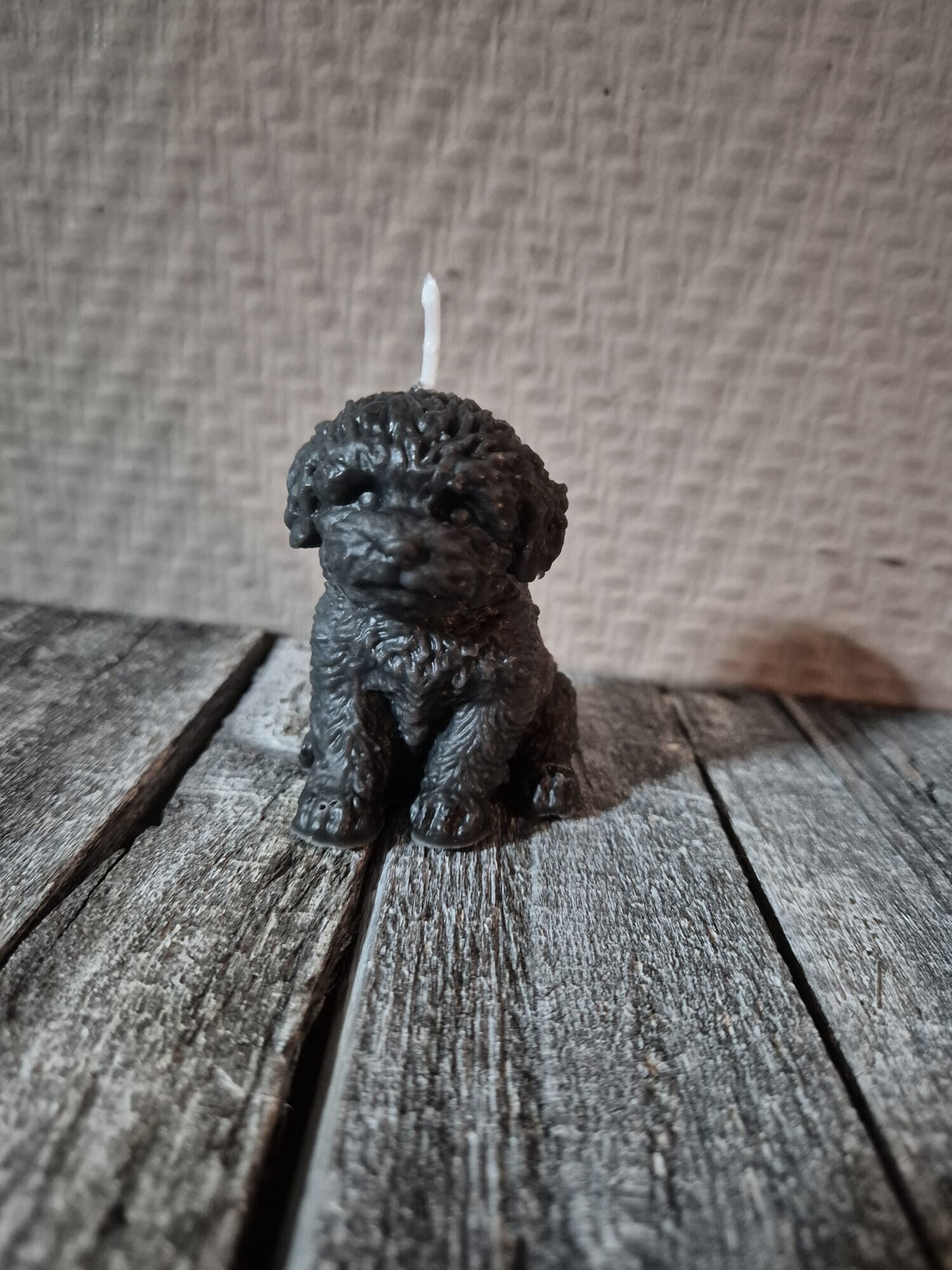 Hondje