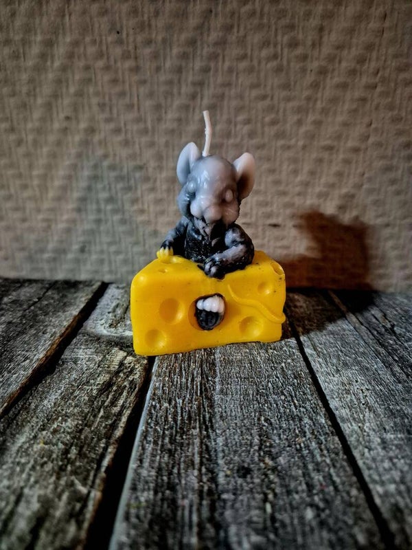 Muis met kaas