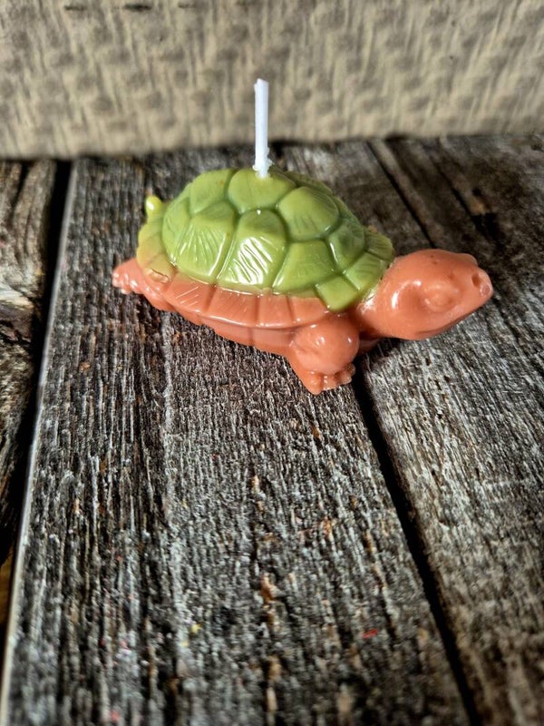Schildpadje