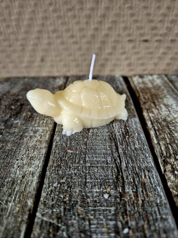 Schildpadje geurkaars