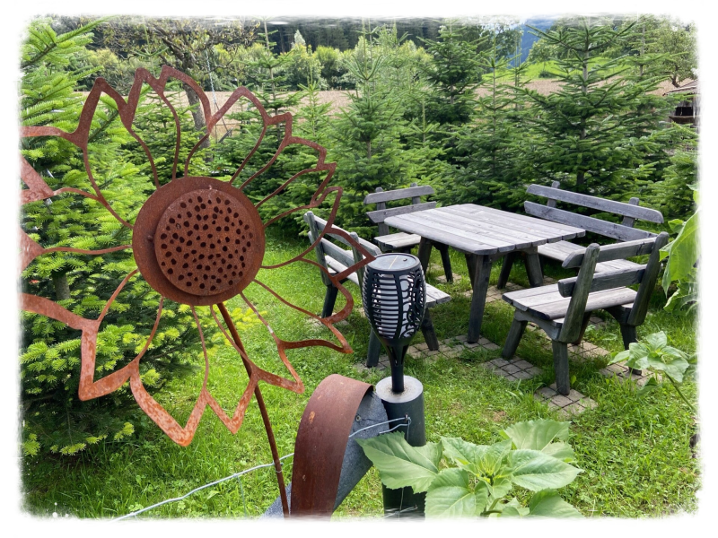 Erholungsbereich in der Christbaumkultur mit Hängematte, Liegestühlen und überall highspeed Internet 