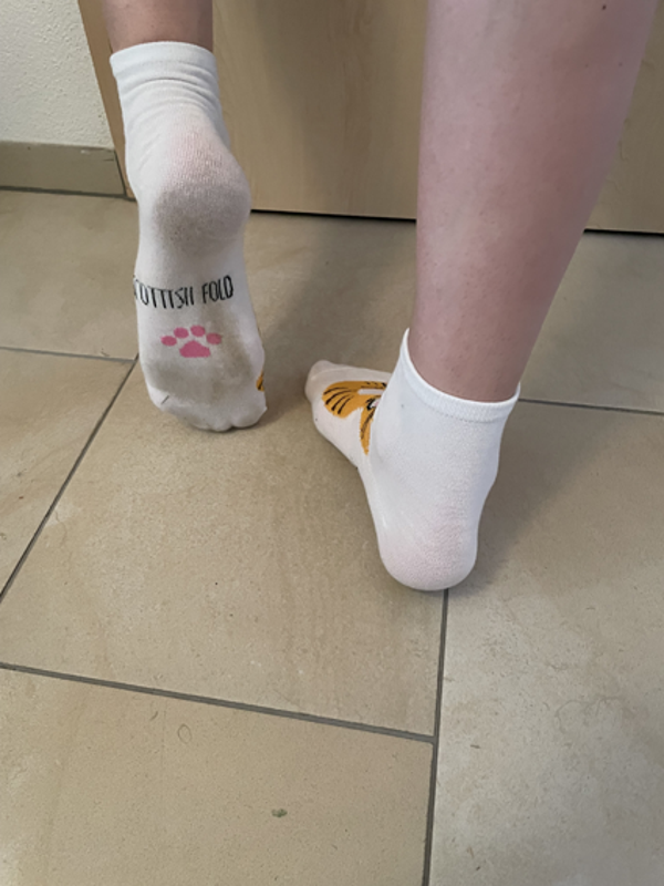 Socken Katzenmotiv