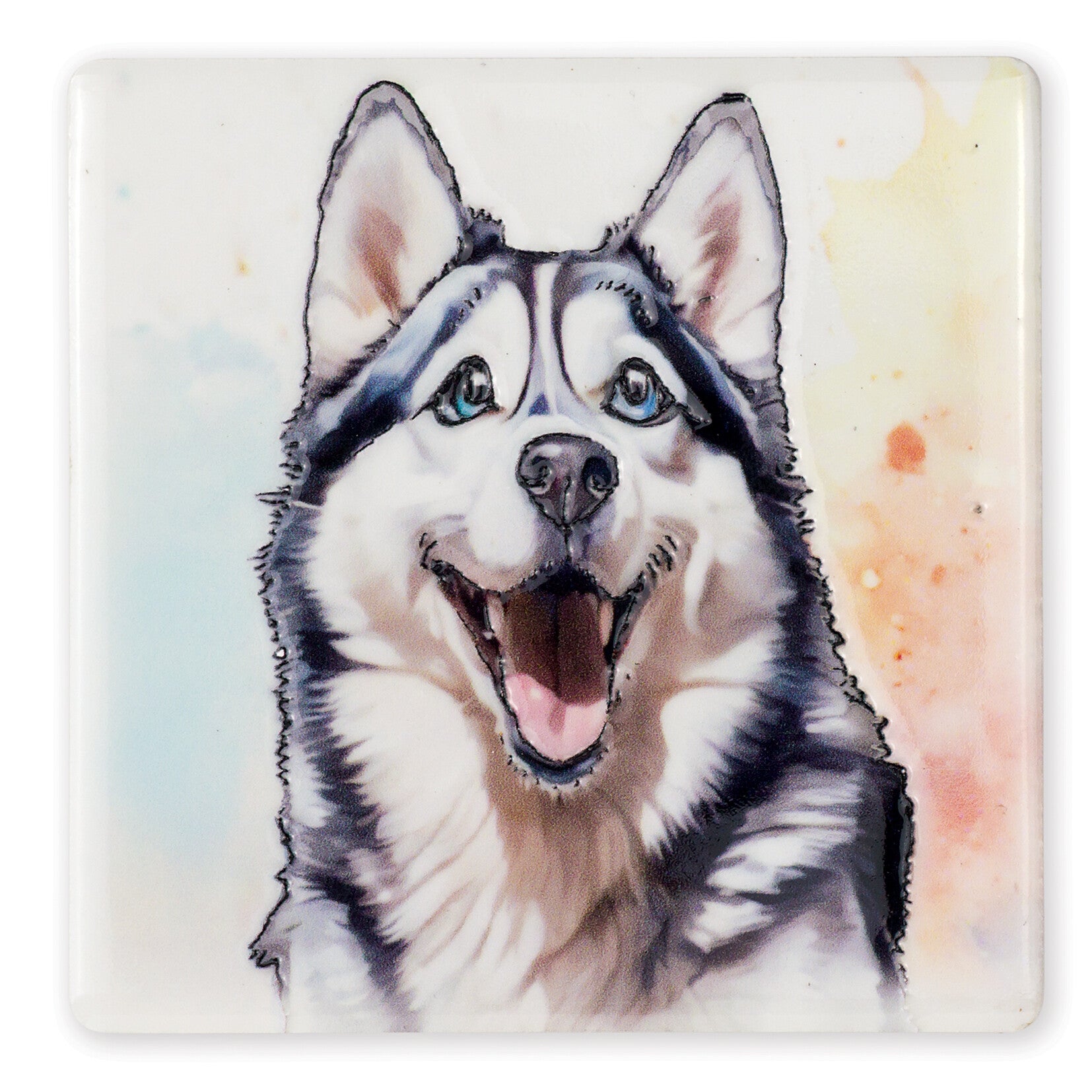 HUskey Coaster
