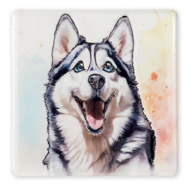 HUskey Coaster
