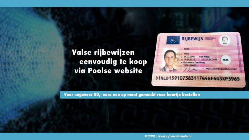 Valse rijbewijzen eenvoudig te koop via Poolse website