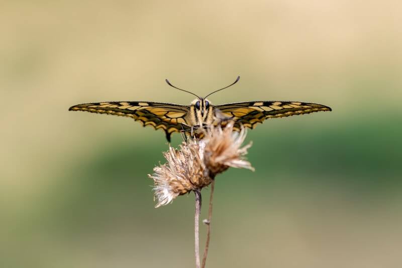 robert_foto_08-standard.jpg