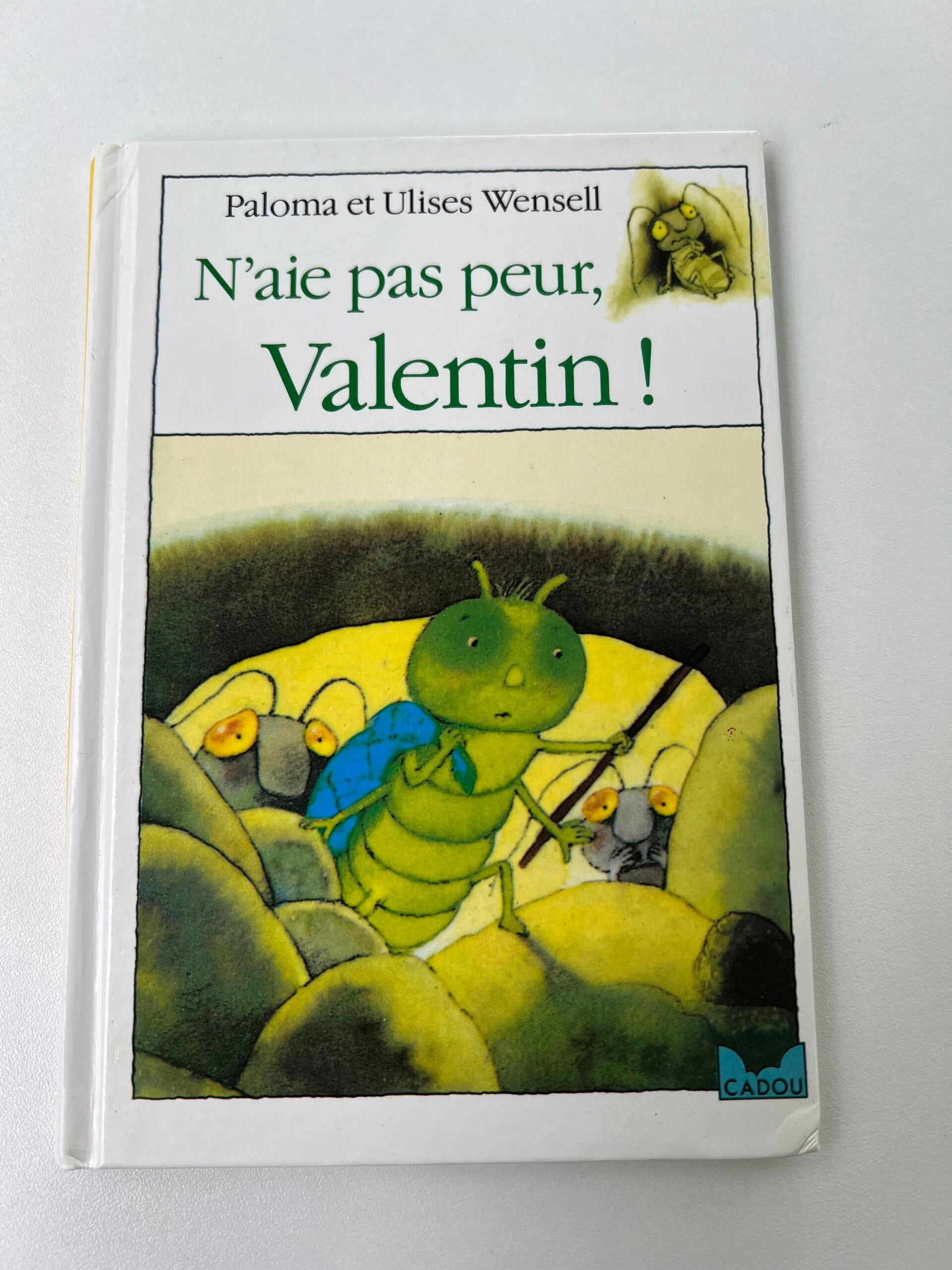 LIVRE n aies pas peur valentin