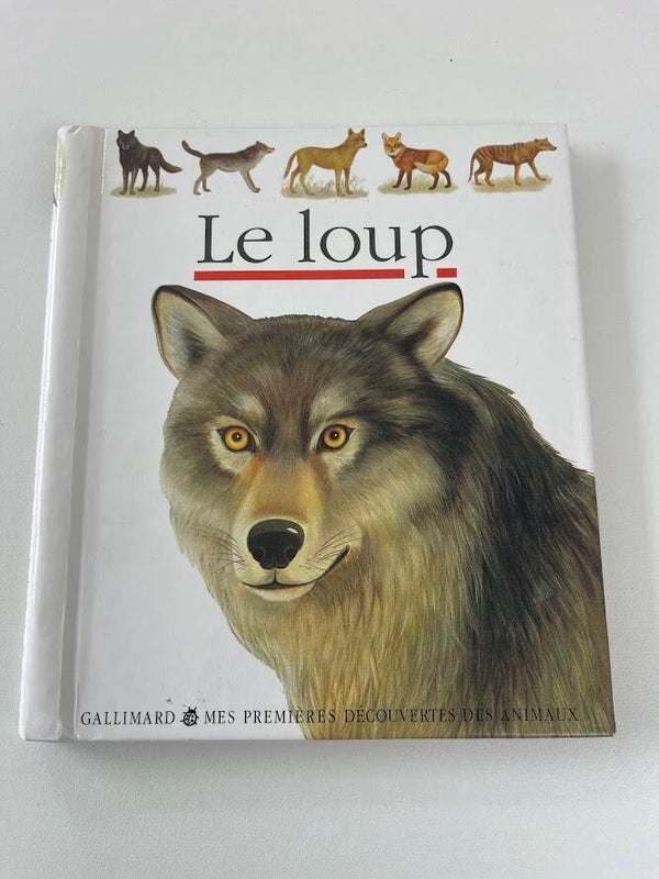 LIVRE  LE LOUP SECONDE MAIN