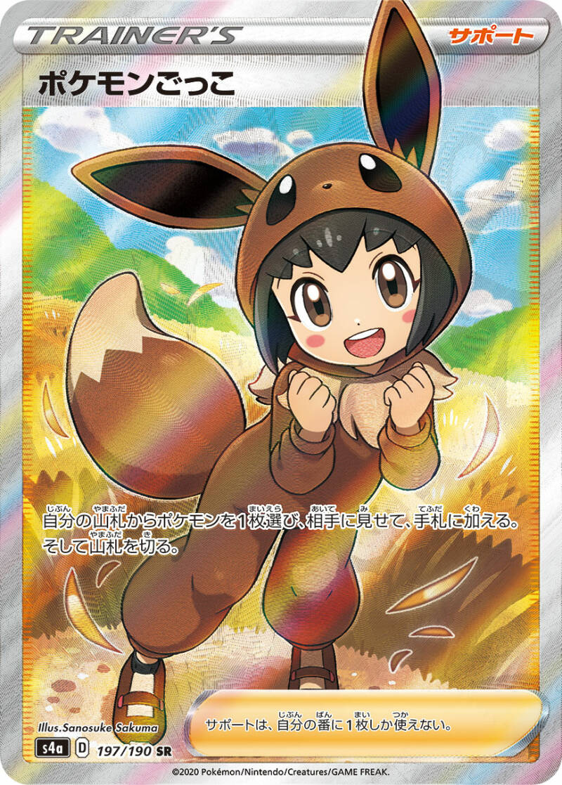 038929_T_POKEMONGOKKO.jpg