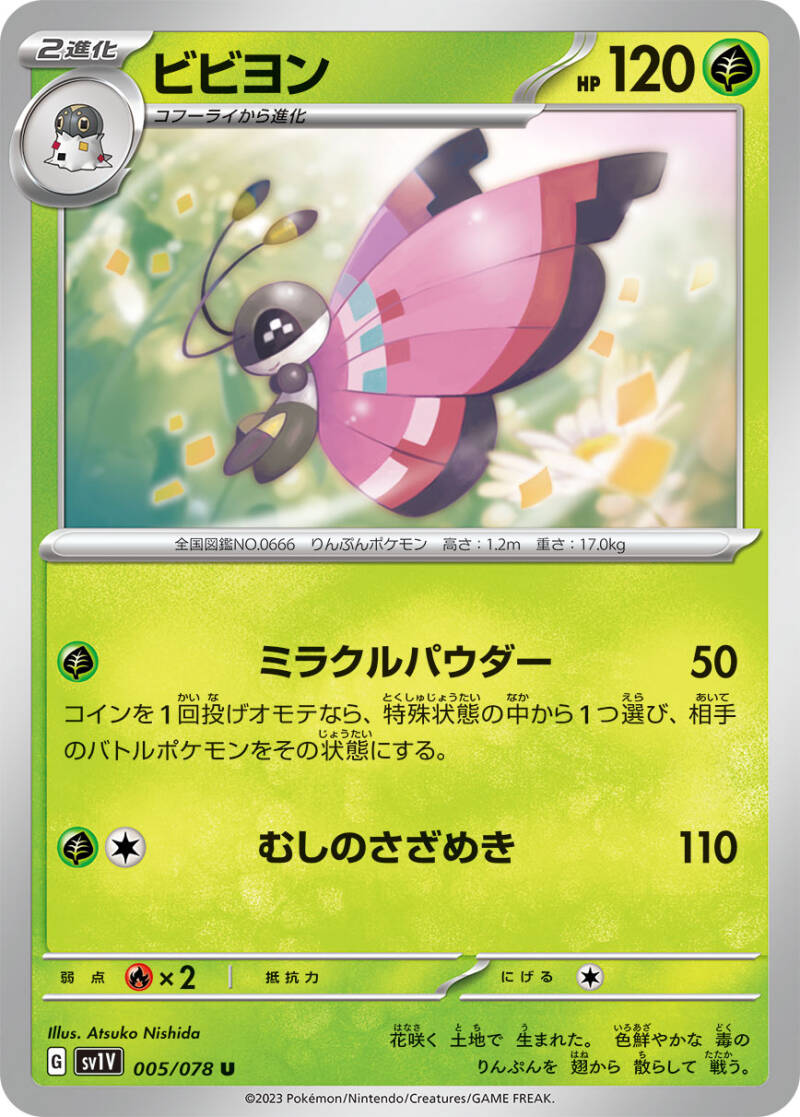 042629_p_bibiyon.jpg