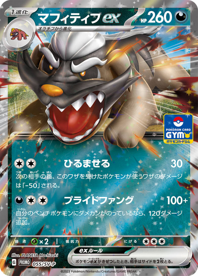 New 11th Pokemon Card Gym Promo Cards Revealed, Features Kyogre V