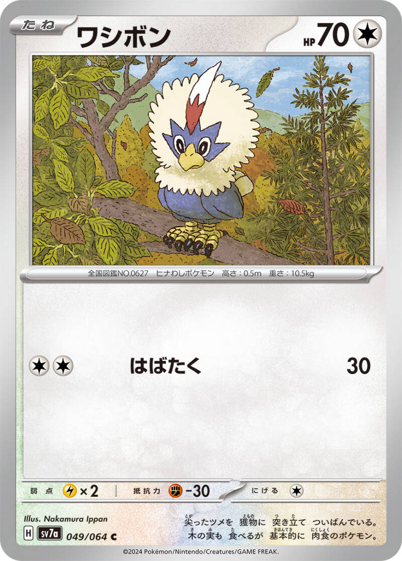 046278_p_washibon-standard.jpg