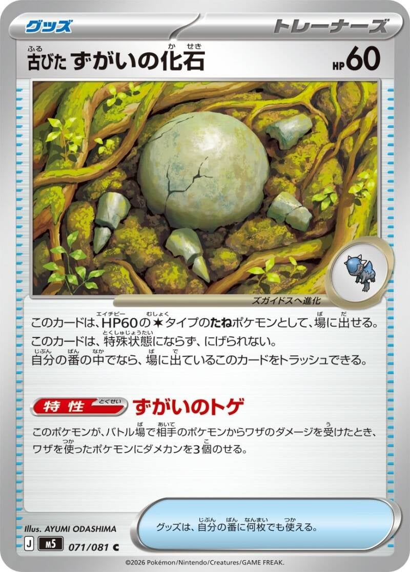 050290_t_kobitazugainokaseki-standard.jpg