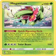 en_US-SM8-008-meganium-1.jpg