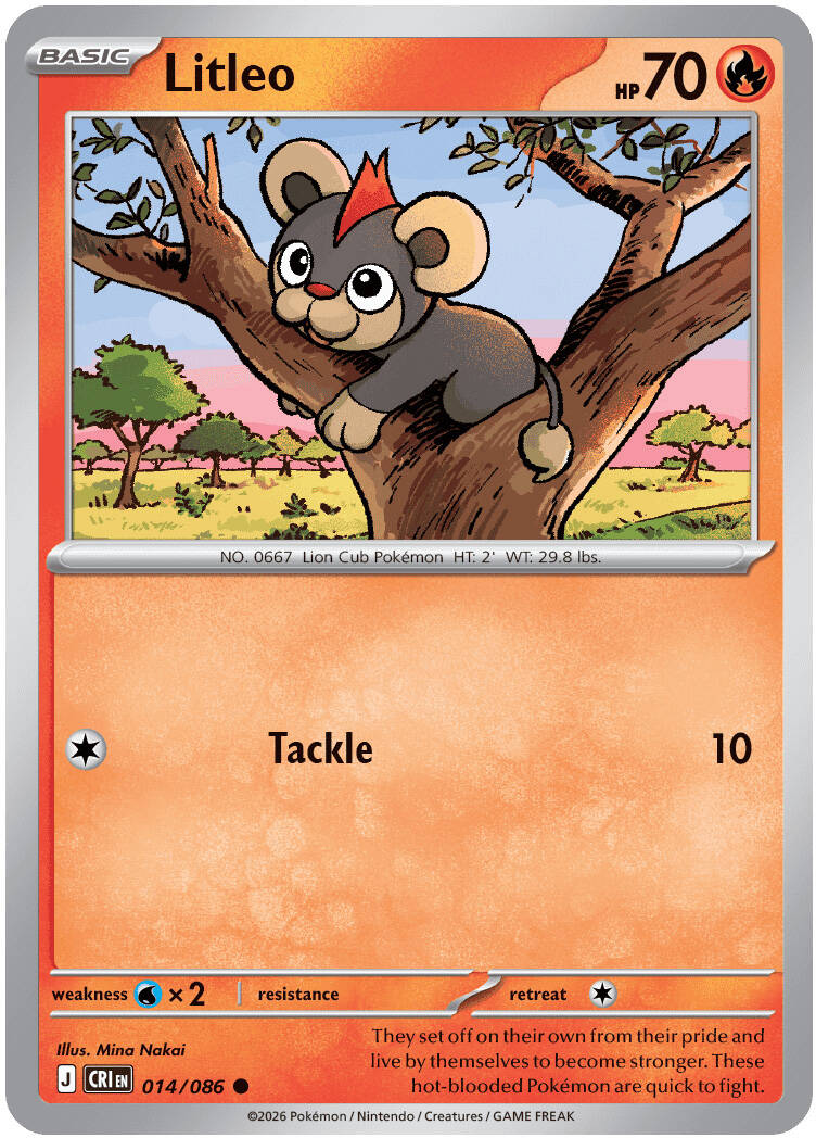 14-standard-4oxtbd.jpg