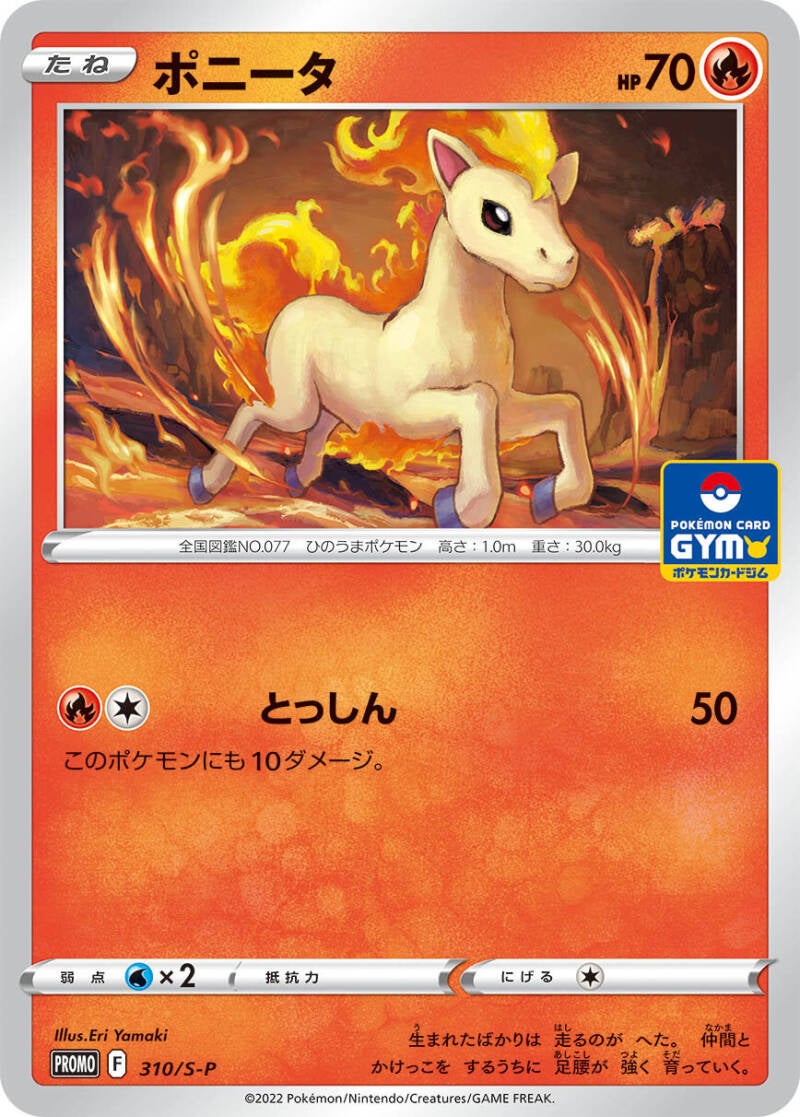 1400_sp_310_077ponyta.jpg