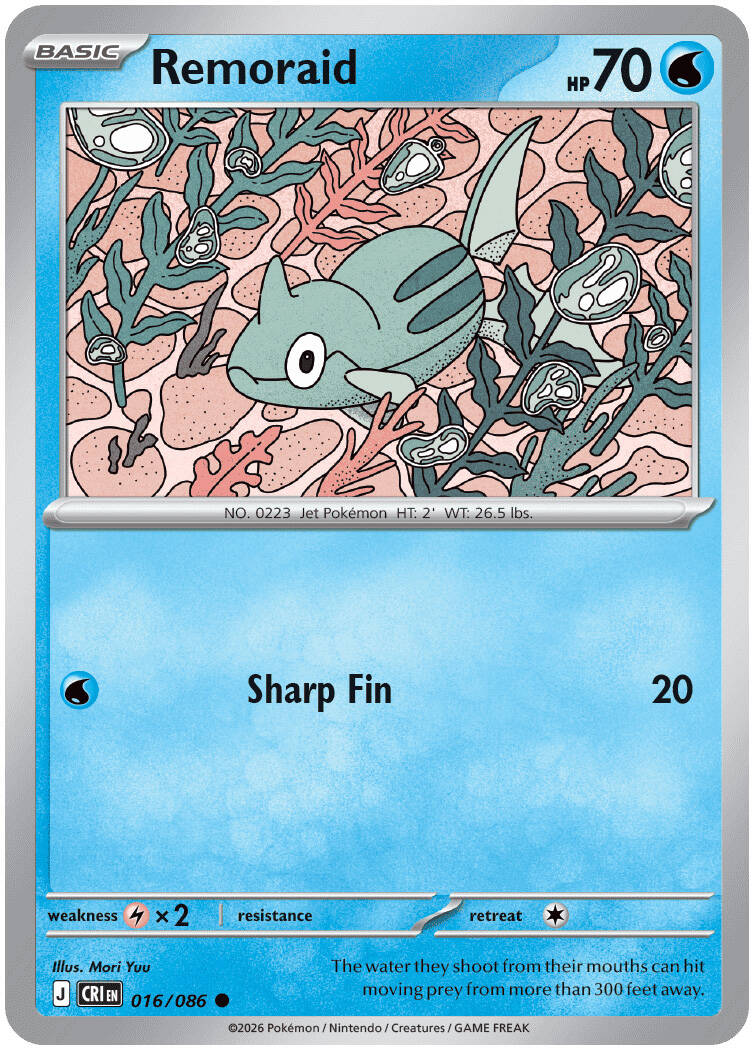 16-standard.jpg