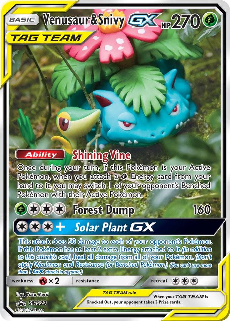 Venusaur & Snivy GX (SM229) 