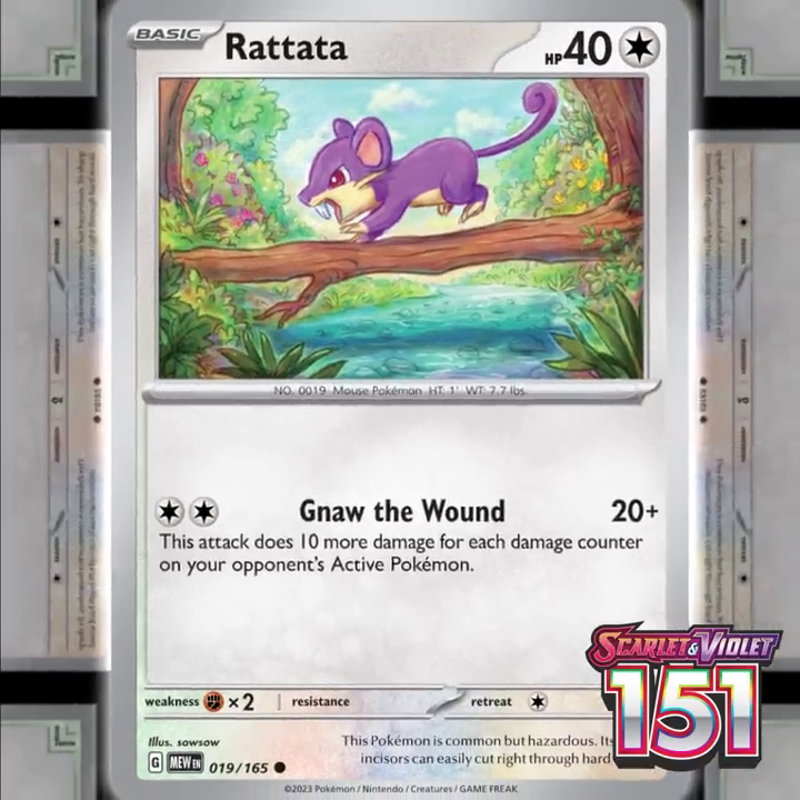 thumbnail image 2 of Pokemon TCG: Scarlet & Violet 151 Mystery Lot – 50 English Cards (Used, 2023) 2 of 6