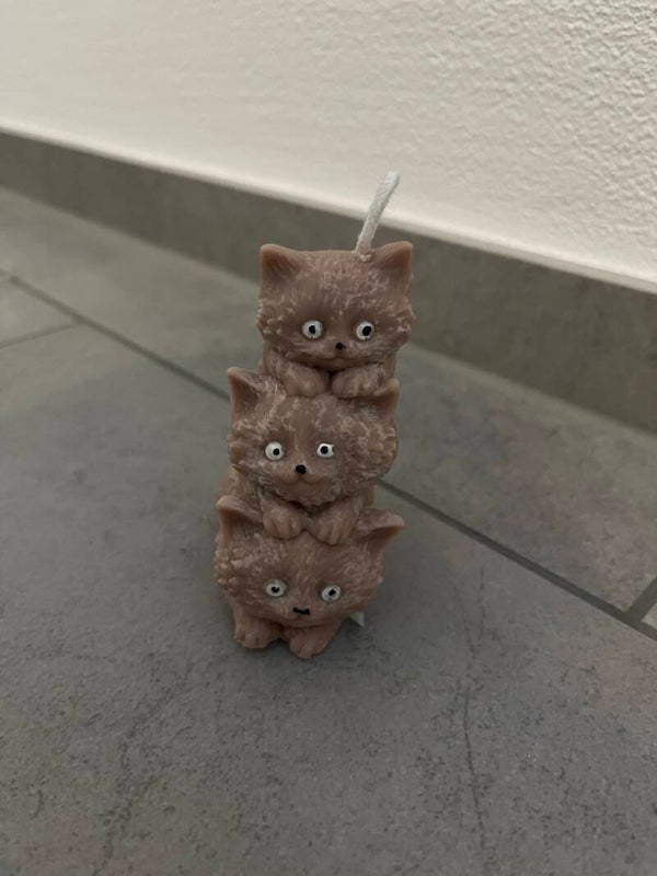 Katzenkerze