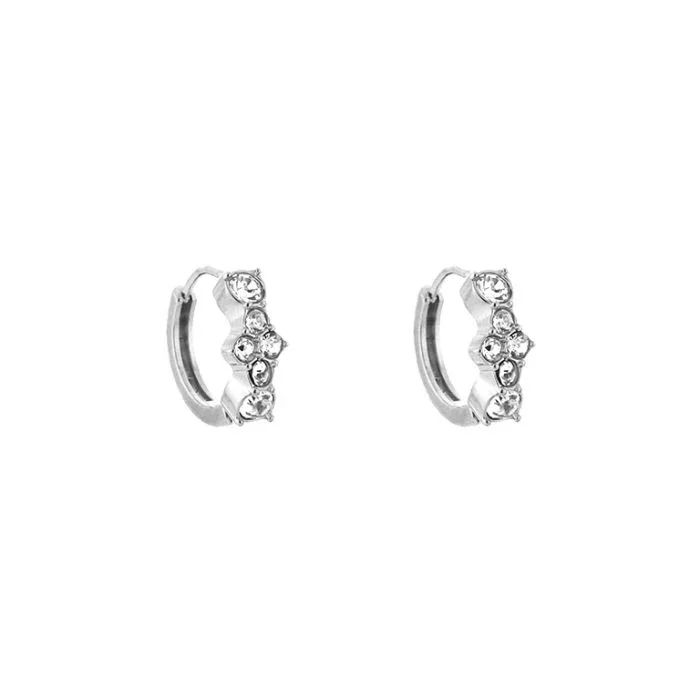 Chic zircon earrings silver