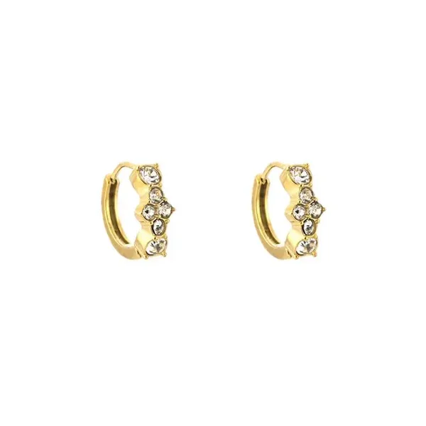 Chic zircon earrings gold