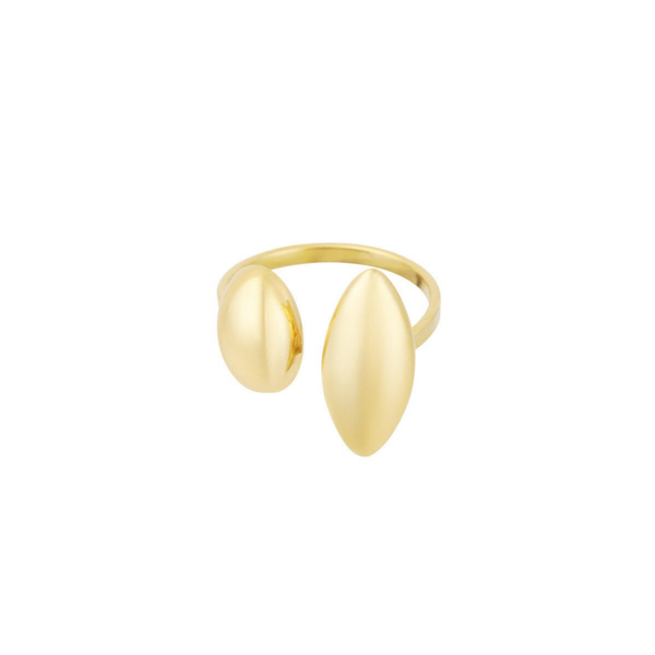 Duo ring gold