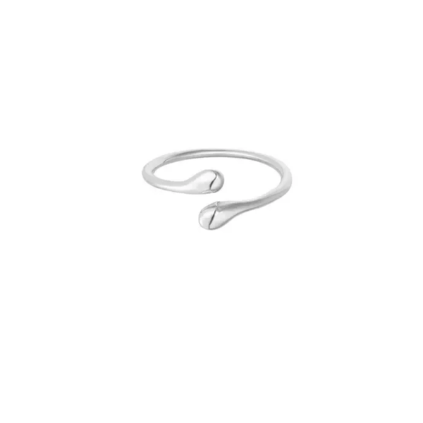 Simplicity rules ring silver
