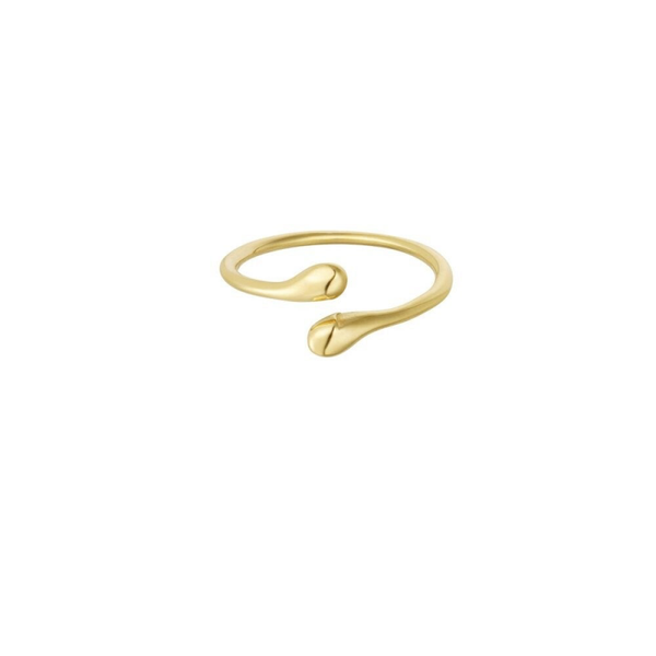 Simplicity rules ring gold