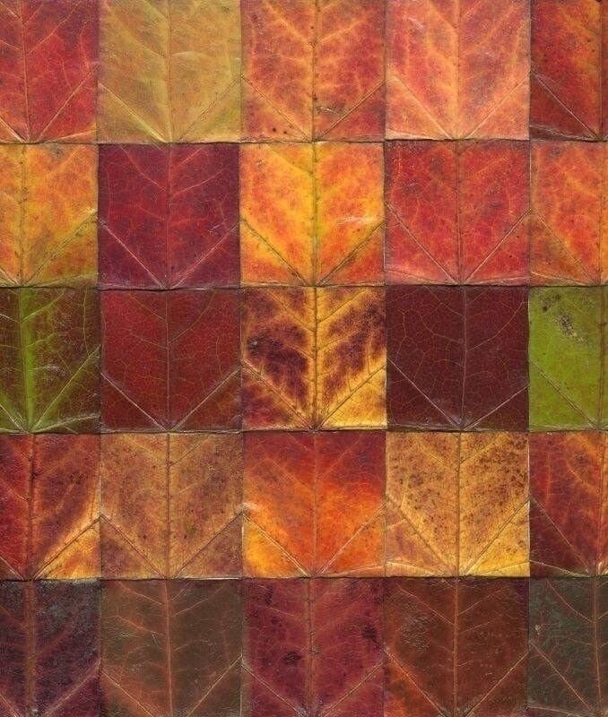 54. Atelier marqueterie végétale : Mercredi 4 novembre 2026  de 18h30 à 21h30