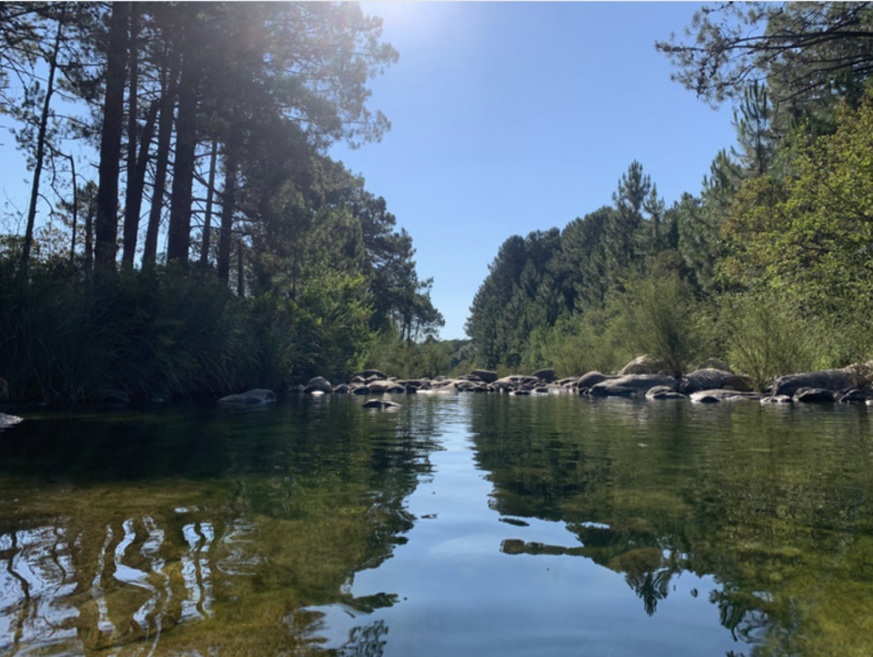 Rivières naturelles de l'Oso