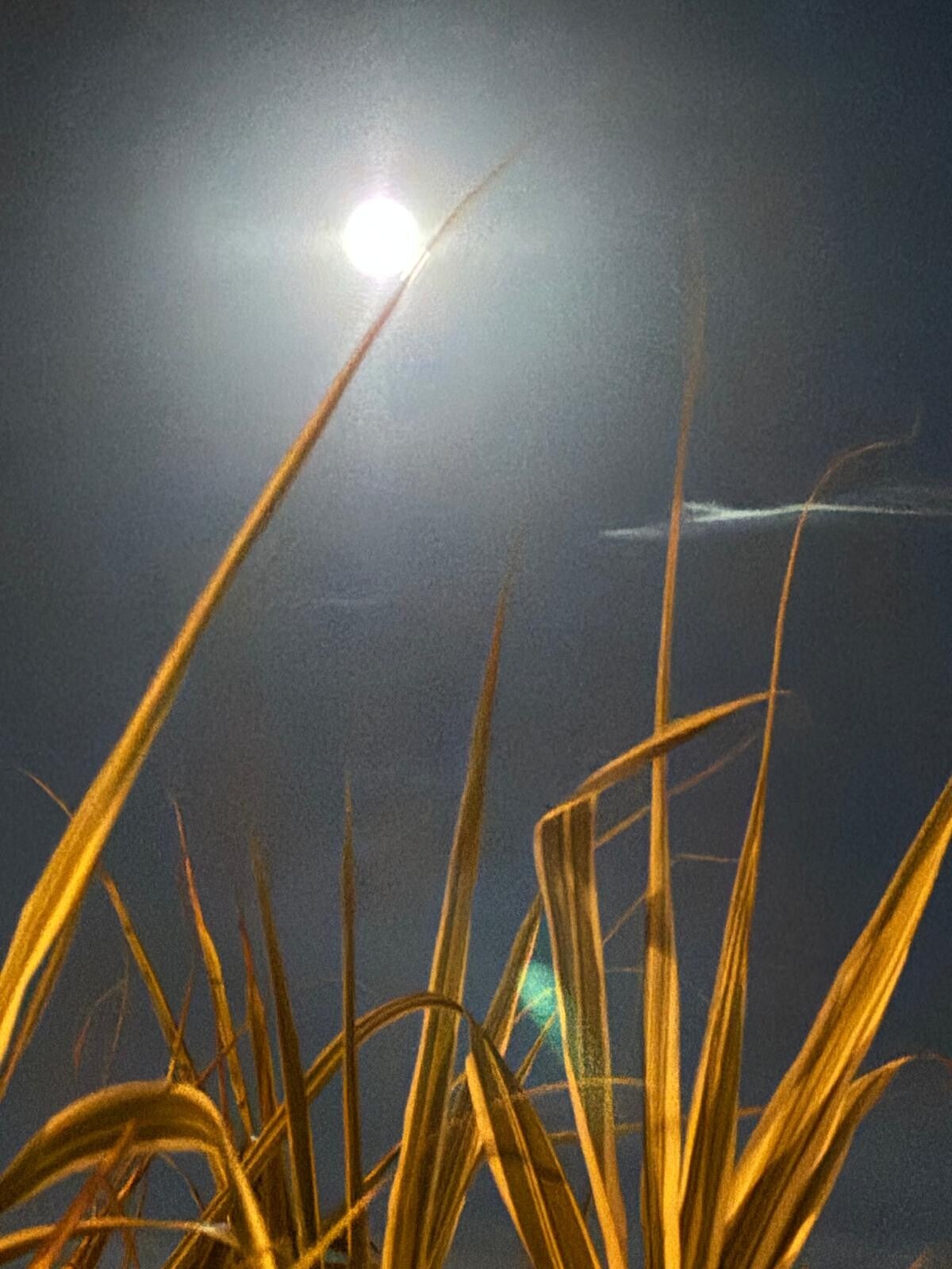 Vollmond im Widder -     Was gehen musste, ist gegangen. Was bleiben darf, bleibt.