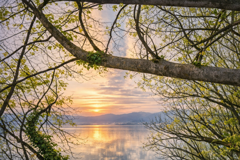  „Frühlingslicht im Spiegel — wie mein Wächter, mein Sehfehler und ich die Welt gemeinsam betrachten.