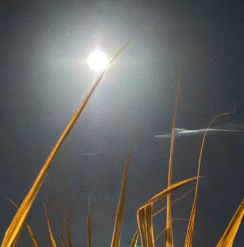 Vollmond im Widder -     Was gehen musste, ist gegangen. Was bleiben darf, bleibt.