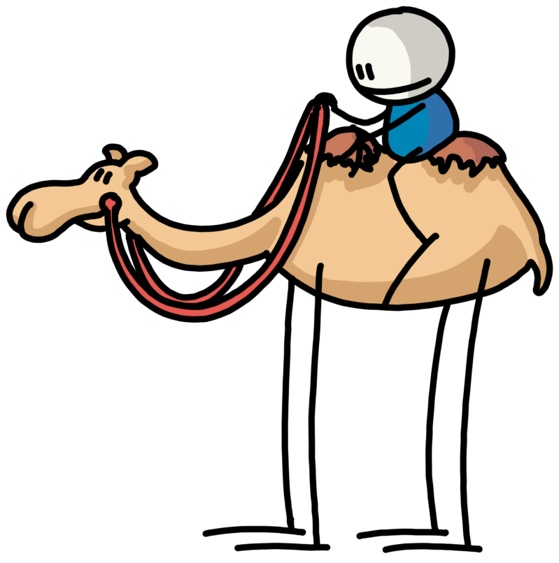 kamel-standard.png