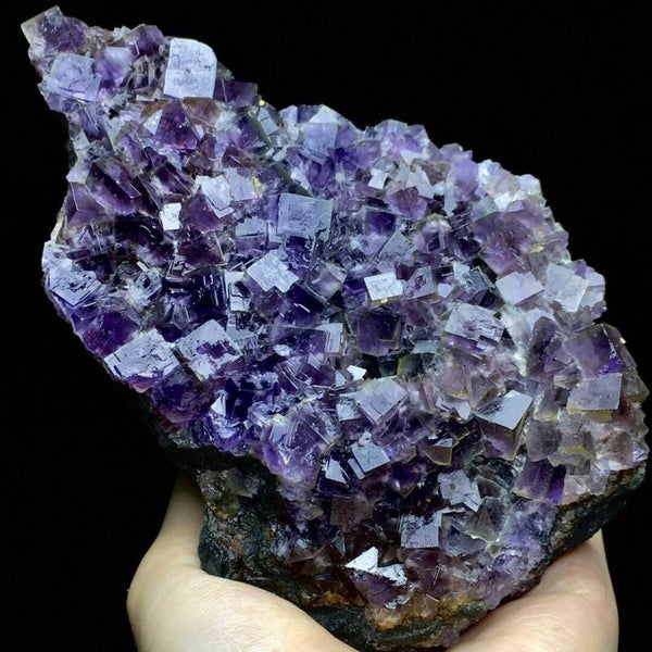 Fluoriet paars 710019