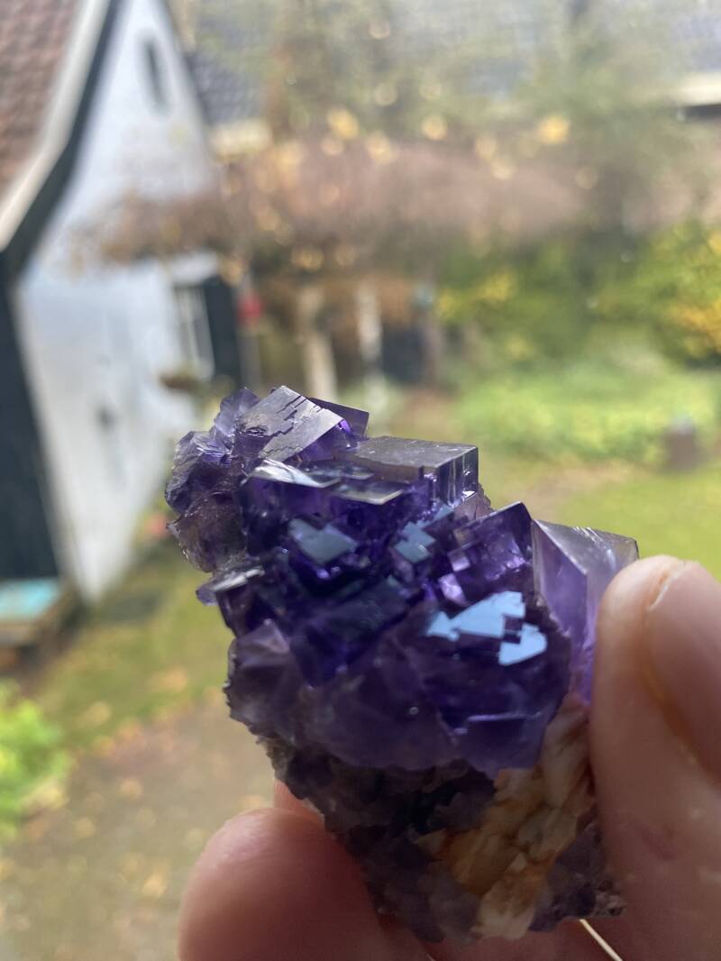 Zelf mineralen zoeken Berbes Fluoriet Spanje Asturie