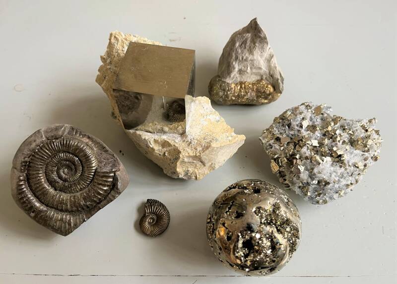 Pyriet Pyrite Pirita Pyrit Sun Pyrietzon Ammoniet Ammonite Ammonit  Ammonita Yorkshire Charmouth Lyme regis Navajun Huallanca Huanzala Peru Rheine Medan