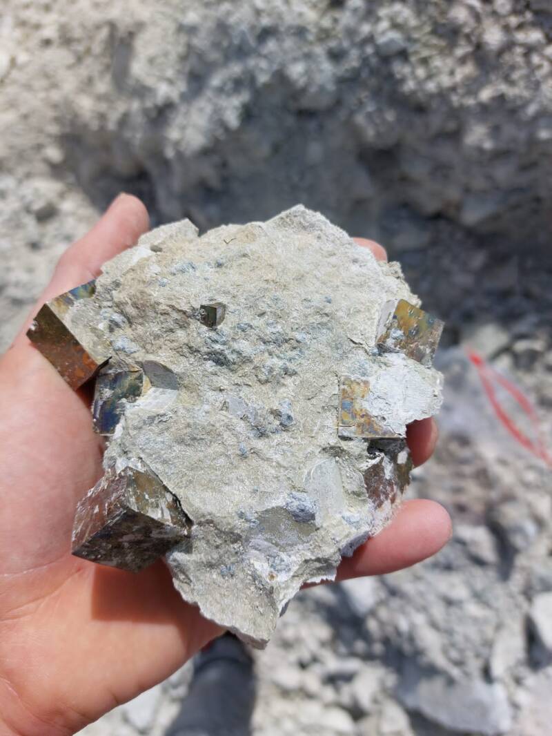 Pyriet uit de Victoria Mijn in Navajun Spanje Eigen vondst Kubische kristallen mooie kubussen Pyrite Mine Cubic Crystals Pyrit zelf zoeken