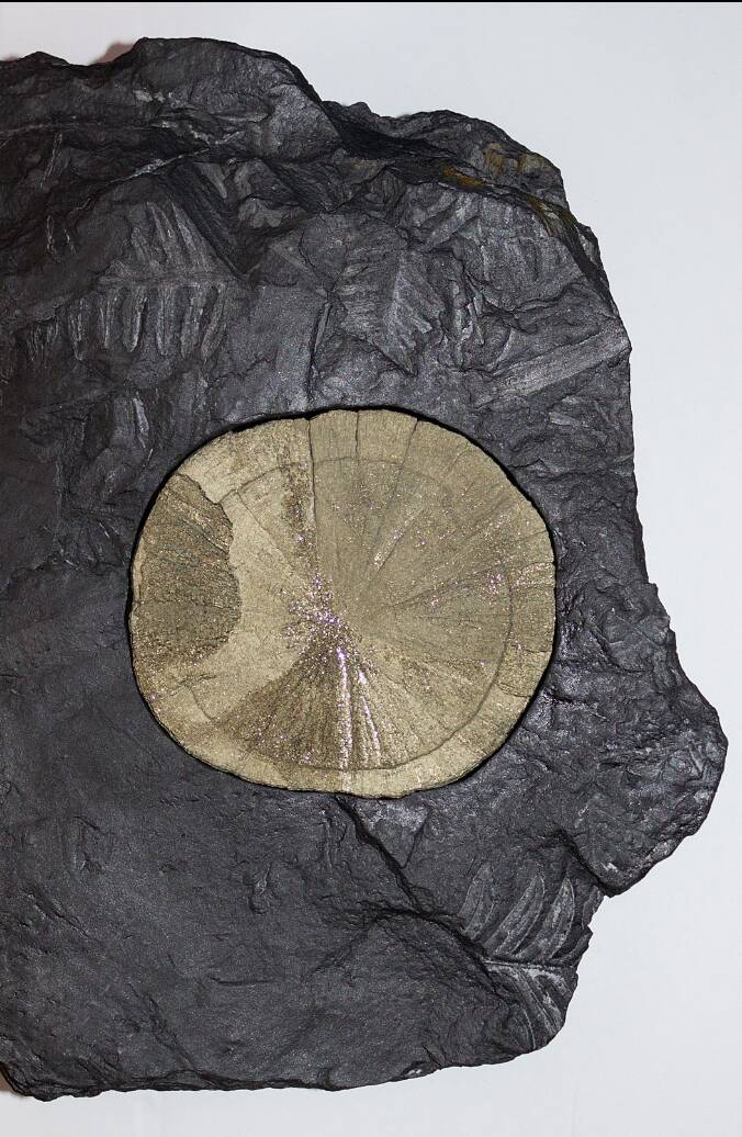 Pyrietzon Pyritesun Pirietzon Sparta Illnois USA