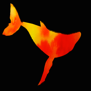 whale3.png
