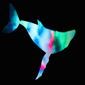 Whale1.png