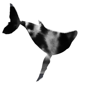 whale2.png