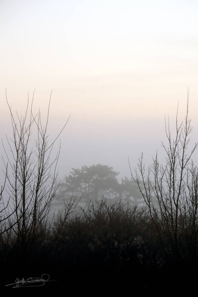 La Roche Guyon - matin douceur -