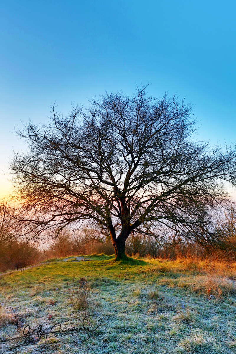 La Roche Guyon - matin douceur -